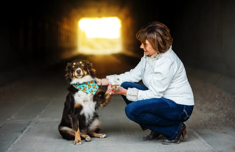 Pet Portraits photograph 26 by Bella Volto Photo