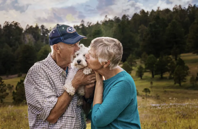 Pet Portraits photograph 21 by Bella Volto Photo
